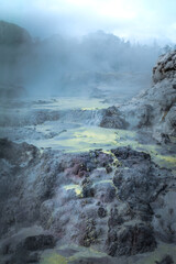 Geothermal area in Rotorua, New Zealand