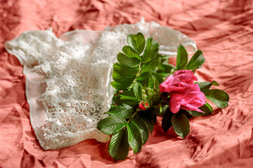 woman's bra on unmade bed.Openwork white cotton underpants on crumpled blanket. Red rose. Sexual...