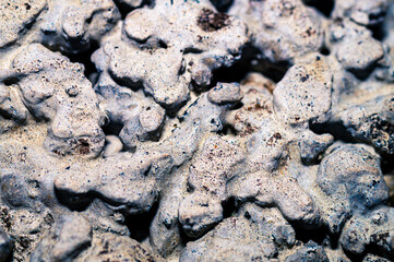 Background selection

Macro shot of a stone wall