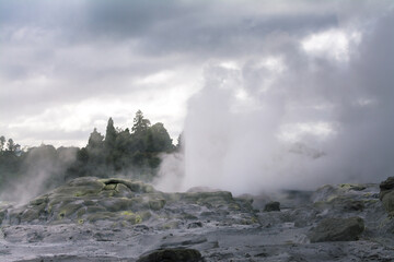 Geothermal area with active geysers erupting above rocks