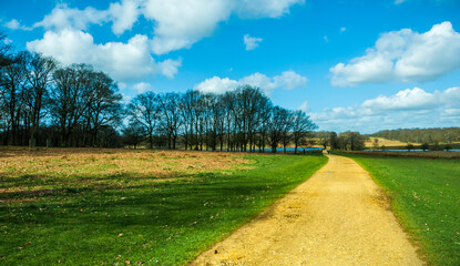 Naklejka premium richmond park