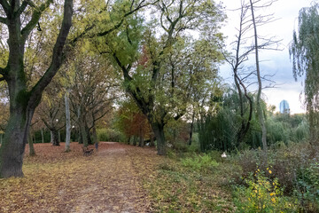 a path through the park with the european central bank vissible