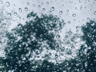 Water drops texture with blur tree background