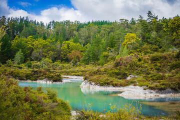 Turquoise waters of geothermal lake surrounded by low trees and shrubbery