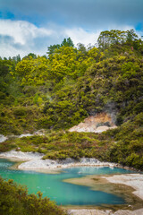 Turquoise waters of geothermal lake surrounded by low trees and shrubbery