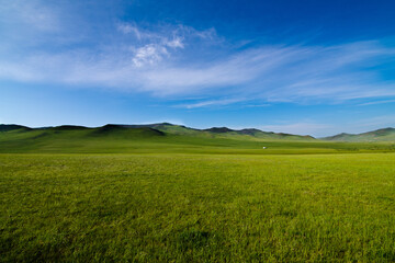 Scenery of the Mongolian meadows with azure blue sky, lush grass fields and green small hills on the back , Mongolia