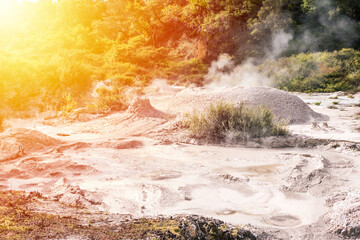 Sunlight over bubbling hot mud pool. Close up