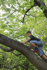 木登りをする小学生(5年生)
