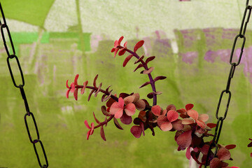 red leaves in a garden