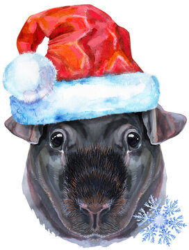 Watercolor portrait of Skinny Guinea Pig in Santa hat on white background
