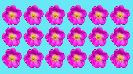 Fototapeta na wymiar seamless pattern of large pink flowers