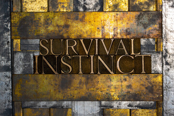 Survival Instinct text formed with real authentic typeset letters on vintage textured silver grunge copper and gold background