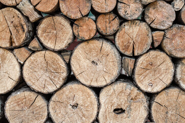 many wooden logs trunks close up