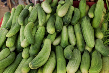 fresh cucumbers in the market