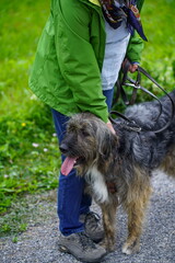 Tierheimhund Teddy schmusst beim Gassigehen II