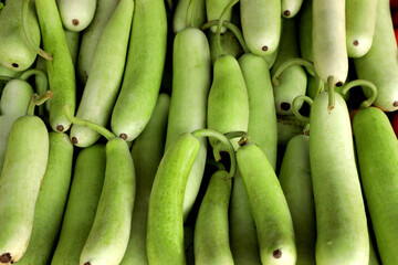 Bottle Gourd