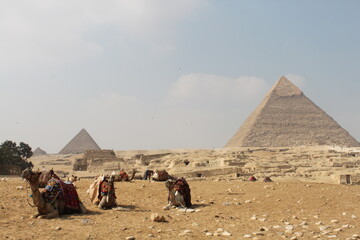 Pyramids of giza