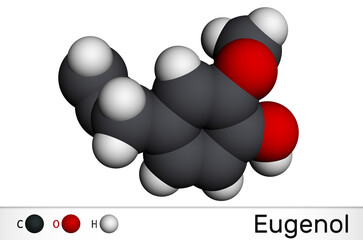 Eugenol, clove essential oil molecule. Is used as flavoring for foods and teas and as herbal oil  to treat toothache. Molecular model