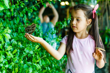 Little girl holding a butterfly in a field