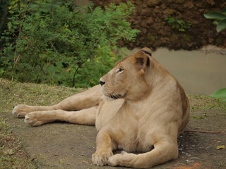 Sri Lanka