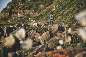 back view of a young girl with long hair and backpack walks alone on rocks overgrown with grass and white poppies. Hill and meadow with green grass background. Social distancing and travel concept