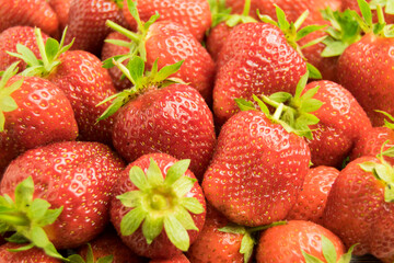 A group of garden strawberry berries. Berries are red, large, ripe, fresh. Close up, top view.