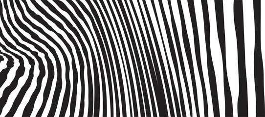 Wild Zebra Wave Pattern with black and white. Trendy Stylish Abstract Background..