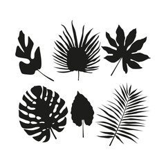 Set of silhouettes of tropical leaves. Simple vector illustration on a white background