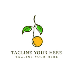 Nutmeg nut seed vector. Isolated on white background. Nutmeg butter food ingredient. Engraved hand drawn illustration in retro vintage style. Organic Food, cosmetics, treatment component