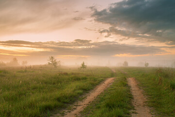 Obraz premium Summer fog dirt road. Colorful misty rural morning