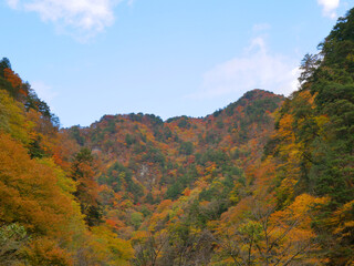 紅葉の中津峡