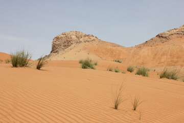 Hot and arid desert sand dunes terrain in Sharjah emirate in the United Arab Emirates. The oil-rich UAE receives less than 4 inches of rainfall a year and relies on water from desalination plants.