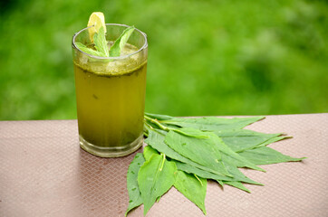 glass of lemonade with green mint