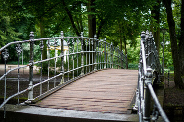 Rustikale stählerne Brücke mit weißen Farbklecksen und braunen hölzernen Blättern im Park umgeben von grünen Blättern und Bäumen. Hofgarten Bayreuth, Deutschland.