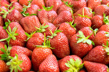 Large berries of red garden strawberries. Closeup, top view.