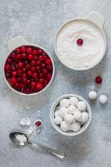Cranberries in powdered sugar. Small round white berry candies. Delicious and healthy dessert for gourmets. Selective focus, top view