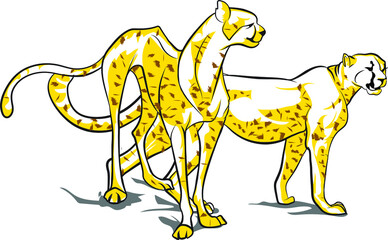 Vector Cheetah line art