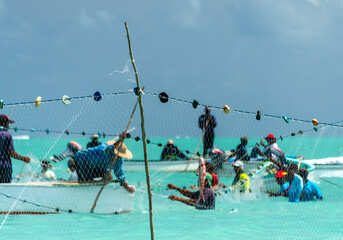 Net fishing in Rodrigues island. Opening of the fishing season on the first of March 2017