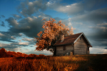 hut on top of a hill in the fall