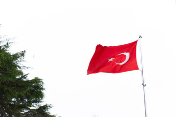 Big Turkish flag in blue sky. Turkish flag rippling in the wind. pine tree with Turkish flag standing next to each other