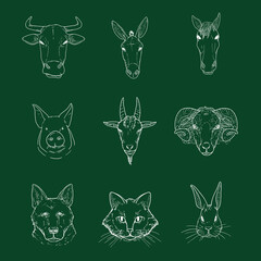 Vector Set of Chalk Sketch Farm Animals Heads.