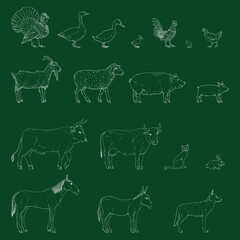 Vector Set of Chalk Sketch Farm Animals.