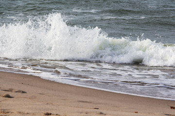sea wave. water splashes on the beach.