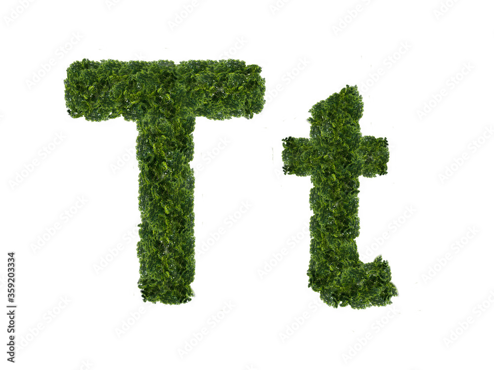 Fototapete a letter made from the crown of a tree from the english alphabet. isolated on a white background. up