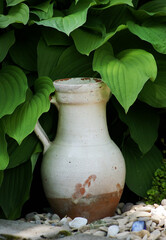 Old jug