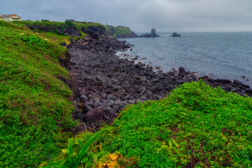Beautiful greenery view from the rocky beach in Seopjikoji, Jeju.