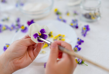 The cook’s hands are holding a pansy flower in their hands and using a brush they spread sugar syrup on the flower. Decor for cakes concept