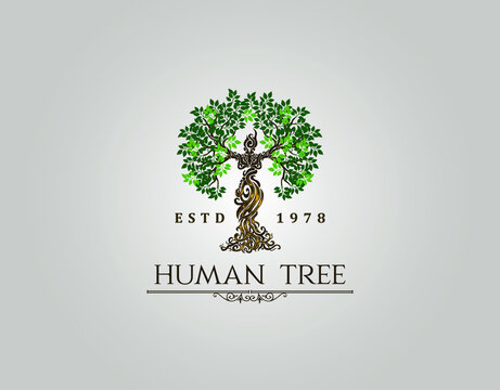 Abstract Human tree logo. Unique Tree Vector illustration with circle and abstract woman shape.  