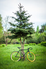 Fototapeta premium Photo of a Bicycle parked near a tree, close up. In the open air, you can clearly see the nature of the Park and the bike.
