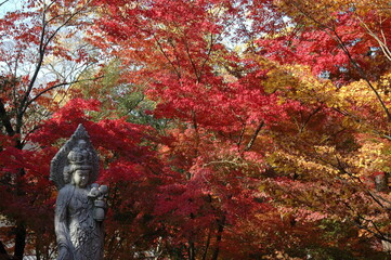 紅葉の秋